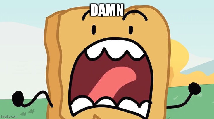 bfdi woody scream | DAMN | image tagged in bfdi woody scream | made w/ Imgflip meme maker