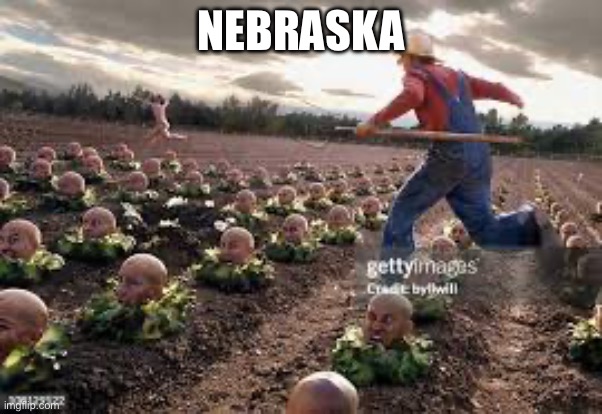 True | NEBRASKA | image tagged in nebraska | made w/ Imgflip meme maker