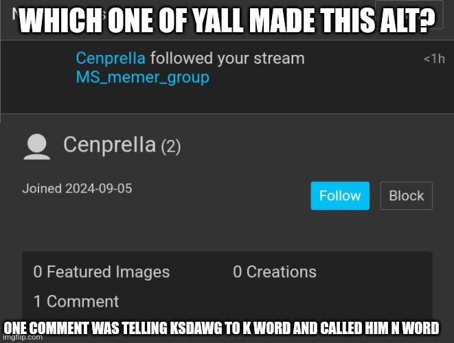 WHICH ONE OF YALL MADE THIS ALT? ONE COMMENT WAS TELLING KSDAWG TO K WORD AND CALLED HIM N WORD | made w/ Imgflip meme maker