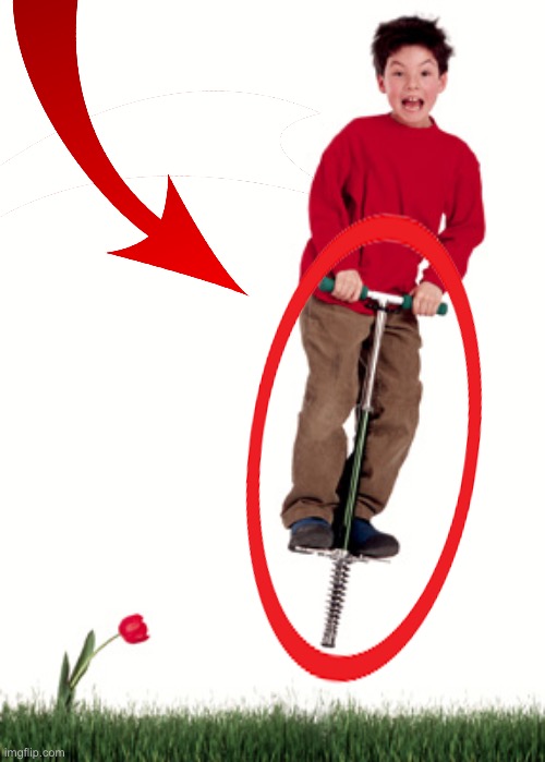 Pogo Stick | image tagged in pogo stick | made w/ Imgflip meme maker