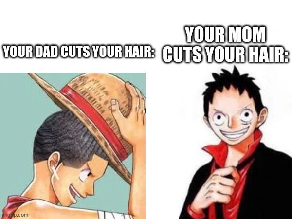 I like your cut my guy | YOUR MOM CUTS YOUR HAIR:; YOUR DAD CUTS YOUR HAIR: | image tagged in luffy,haircut,one piece,memes,fun,mom | made w/ Imgflip meme maker