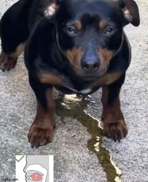 . | made w/ Imgflip meme maker