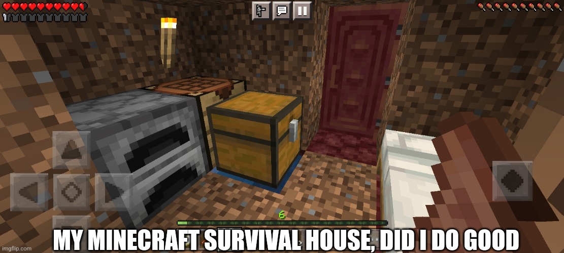 MY MINECRAFT SURVIVAL HOUSE, DID I DO GOOD | made w/ Imgflip meme maker