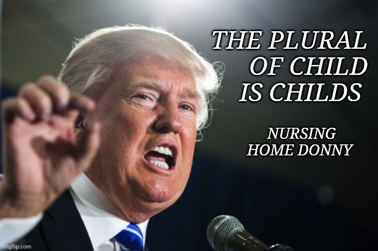 Nursing home Donny | THE PLURAL OF CHILD IS CHILDS; NURSING HOME DONNY | image tagged in donald trump,kamala harris,maga,republican,nevertrump,trump | made w/ Imgflip meme maker