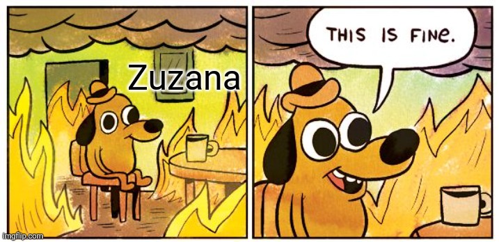 This Is Fine Meme | Zuzana | image tagged in memes,this is fine | made w/ Imgflip meme maker