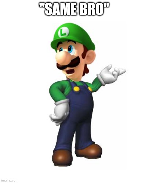 Logic Luigi | "SAME BRO" | image tagged in logic luigi | made w/ Imgflip meme maker