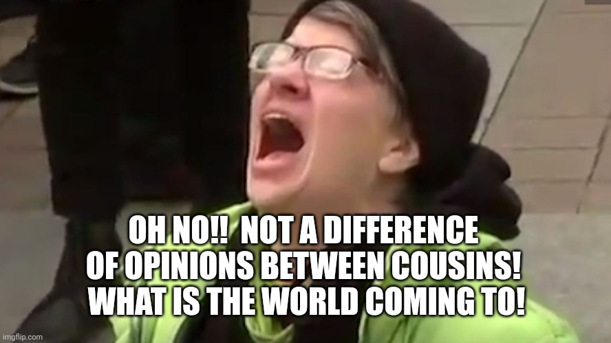 Screaming Liberal  | OH NO!!  NOT A DIFFERENCE OF OPINIONS BETWEEN COUSINS!  WHAT IS THE WORLD COMING TO! | image tagged in screaming liberal | made w/ Imgflip meme maker