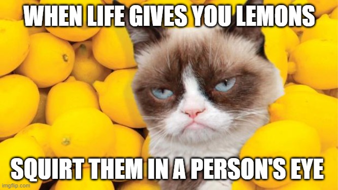 Grumpy Cat lemons | WHEN LIFE GIVES YOU LEMONS; SQUIRT THEM IN A PERSON'S EYE | image tagged in grumpy cat lemons | made w/ Imgflip meme maker