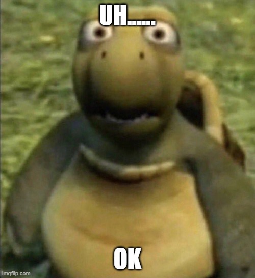 shocked turtle | UH...... OK | image tagged in shocked turtle | made w/ Imgflip meme maker