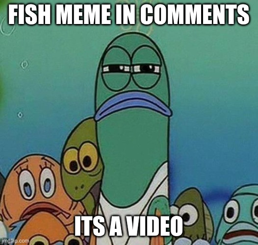 F I S H | FISH MEME IN COMMENTS; ITS A VIDEO | image tagged in spongebob | made w/ Imgflip meme maker