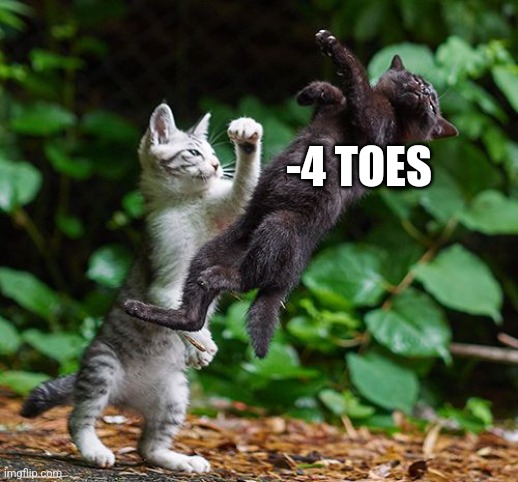 Mortal Kombat | -4 TOES | image tagged in mortal kombat | made w/ Imgflip meme maker