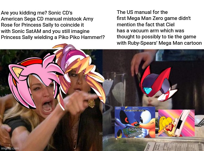 Woman Yelling At Cat | Are you kidding me? Sonic CD's American Sega CD manual mistook Amy Rose for Princess Sally to coincide it with Sonic SatAM and you still imagine Princess Sally wielding a Piko Piko Hammer!? The US manual for the first Mega Man Zero game didn't mention the fact that Ciel has a vacuum arm which was thought to possibly to tie the game with Ruby-Spears' Mega Man cartoon | image tagged in memes,woman yelling at cat,megaman zero,sonic cd,manual,mistake | made w/ Imgflip meme maker