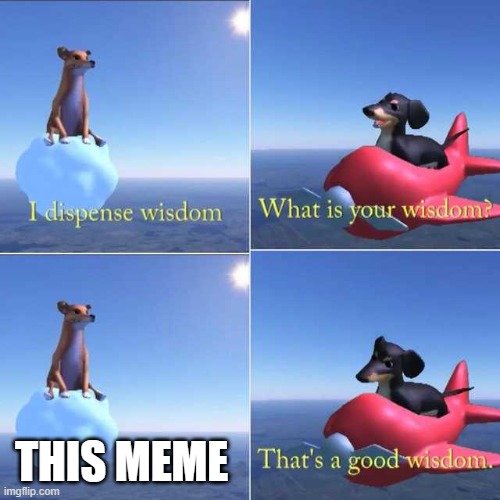 Wisdom Dog | THIS MEME | image tagged in wisdom dog | made w/ Imgflip meme maker