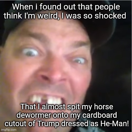 Trumptard | When i found out that people think I'm weird, I was so shocked; That I almost spit my horse dewormer onto my cardboard cutout of Trump dressed as He-Man! | image tagged in trumptard,scumbag republicans,terrorists,trailer trash,conservative hypocrisy,jeffrey epstein | made w/ Imgflip meme maker