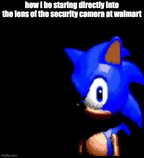 had a camera that clicked when it was on and every time i heard that click i just pulled a bonnie on cam 3 | how i be staring directly into the lens of the security camera at walmart | image tagged in sonic stares | made w/ Imgflip meme maker