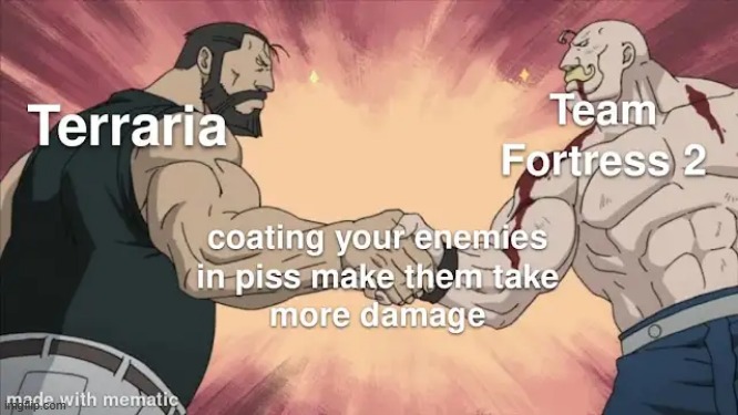 image tagged in memes,tf2,terraria | made w/ Imgflip meme maker