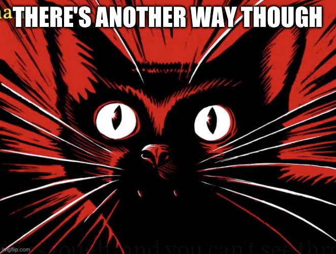 Sabo tabby | THERE'S ANOTHER WAY THOUGH | image tagged in sabo tabby | made w/ Imgflip meme maker