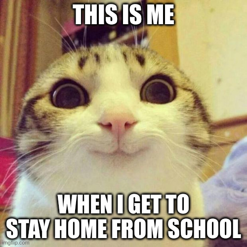 true :3 | THIS IS ME; WHEN I GET TO STAY HOME FROM SCHOOL | image tagged in memes,smiling cat | made w/ Imgflip meme maker