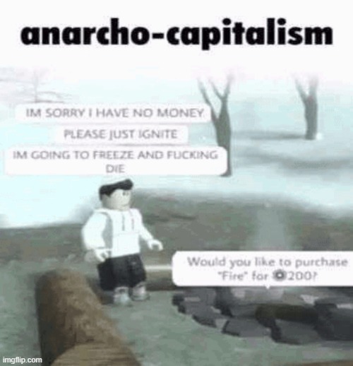 Anarcho-capitalism | image tagged in capitalism,your free trial of living has ended,freezing cold,dark humor,dark humour,roblox | made w/ Imgflip meme maker