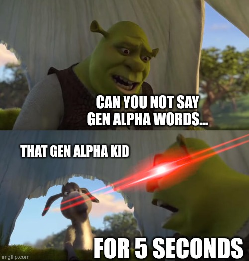 Shrek For Five Minutes | CAN YOU NOT SAY GEN ALPHA WORDS... THAT GEN ALPHA KID; FOR 5 SECONDS | image tagged in shrek for five minutes | made w/ Imgflip meme maker