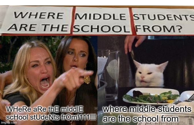 Woman Yelling At Cat | WHeRe aRe thE mIddlE scHool stUdeNts frOm!111!!! where middle students are the school from | image tagged in memes,woman yelling at cat | made w/ Imgflip meme maker