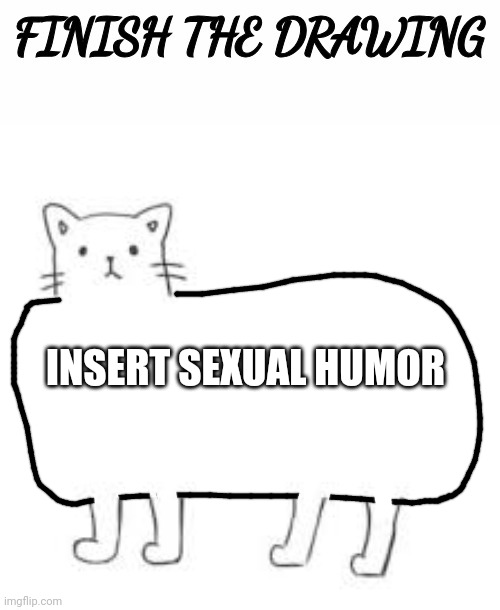 finish the drawing | INSERT SEXUAL HUMOR | image tagged in finish the drawing | made w/ Imgflip meme maker