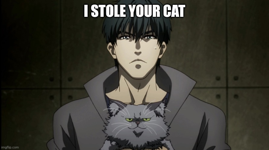 Cat thief | I STOLE YOUR CAT | image tagged in tokyo ghoul | made w/ Imgflip meme maker