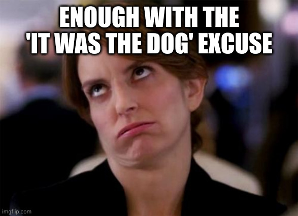 eye roll | ENOUGH WITH THE 'IT WAS THE DOG' EXCUSE | image tagged in eye roll | made w/ Imgflip meme maker