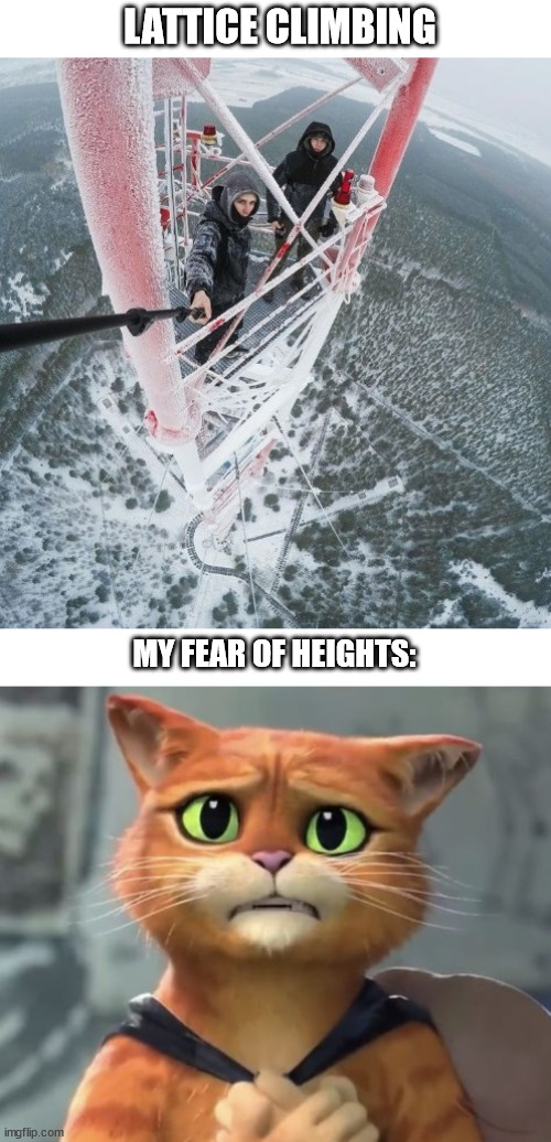 Puss in Boots, lattice climbing. | LATTICE CLIMBING; MY FEAR OF HEIGHTS: | image tagged in lattice climbing,puss in boots,meme,sport,memes,germany | made w/ Imgflip meme maker