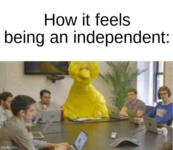 Conservatives overran this stream...sounds familiar | How it feels being an independent: | image tagged in big bird at meeting,big bird,independent,clown,memes,dank memes | made w/ Imgflip meme maker