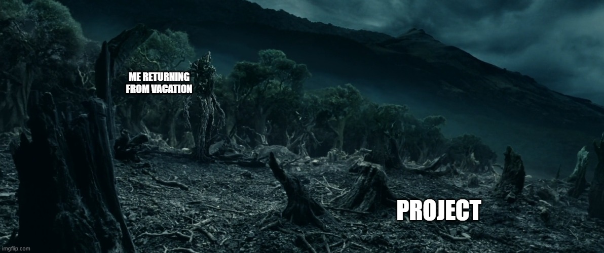 Codechanges be like | ME RETURNING FROM VACATION; PROJECT | image tagged in memes,coding,programming,lotr | made w/ Imgflip meme maker