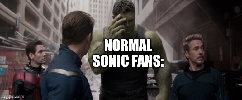 Hulk Shame | NORMAL SONIC FANS: | image tagged in hulk shame | made w/ Imgflip meme maker