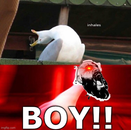 b o y | BOY!! | image tagged in inhaling seagull | made w/ Imgflip meme maker