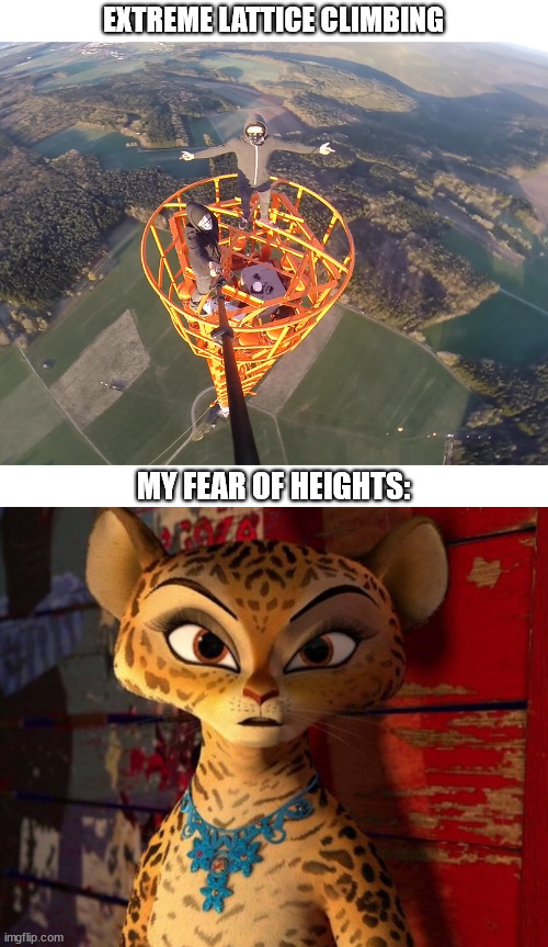 Me vs. lattice climbing | EXTREME LATTICE CLIMBING; MY FEAR OF HEIGHTS: | image tagged in lattice climbing,gia,gia the jaguar,madagascar 3,madagascar,movie | made w/ Imgflip meme maker