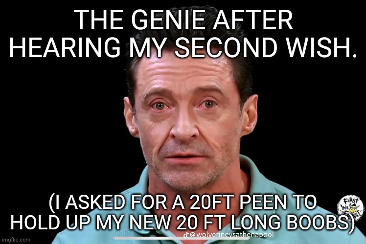 THE GENIE AFTER HEARING MY SECOND WISH. (I ASKED FOR A 20FT PEEN TO HOLD UP MY NEW 20 FT LONG BOOBS) | made w/ Imgflip meme maker