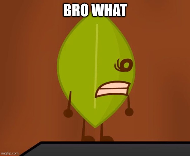 BFDI "Wat" Face | BRO WHAT | image tagged in bfdi wat face | made w/ Imgflip meme maker