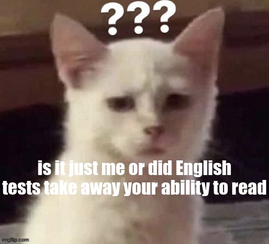 ? | is it just me or did English tests take away your ability to read | made w/ Imgflip meme maker