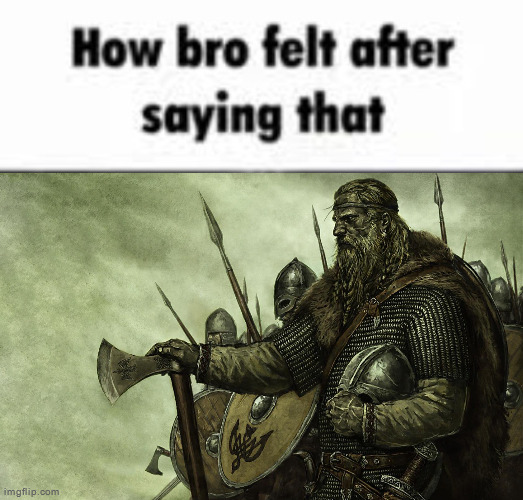 image tagged in how bro felt after saying that,viking | made w/ Imgflip meme maker