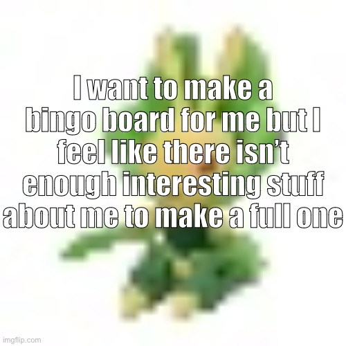 144p Leavanny | I want to make a bingo board for me but I feel like there isn’t enough interesting stuff about me to make a full one | image tagged in 144p leavanny | made w/ Imgflip meme maker