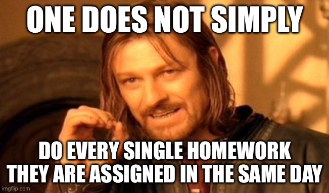 One Does Not Simply | ONE DOES NOT SIMPLY; DO EVERY SINGLE HOMEWORK THEY ARE ASSIGNED IN THE SAME DAY | image tagged in memes,one does not simply | made w/ Imgflip meme maker