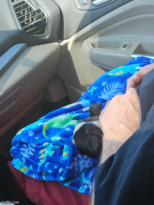 HES ASLEEP | made w/ Imgflip meme maker