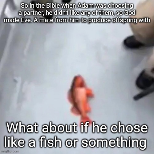 Would we be doing the deed with a carp | So in the Bible when Adam was choosing a partner, he didn't like any of them, so God made Eve. A mate from him to produce offspring with; What about if he chose like a fish or something | image tagged in fish | made w/ Imgflip meme maker