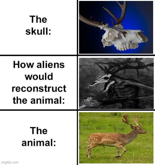 alien wendigos | image tagged in how aliens would reconstruct the animal,memes,wendigo,deer | made w/ Imgflip meme maker