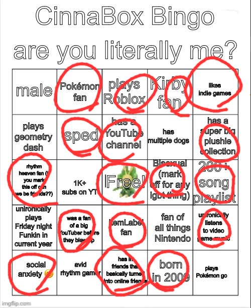 CinnaBox Bingo | image tagged in cinnabox bingo | made w/ Imgflip meme maker