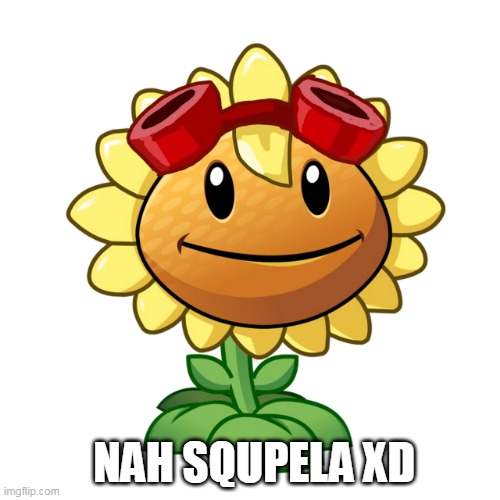 Girasol:Nah Squpela | NAH SQUPELA XD | image tagged in memes | made w/ Imgflip meme maker