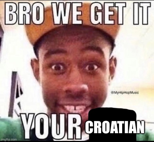 BRO WE GET IT YOU'RE GAY | CROATIAN | image tagged in bro we get it you're gay | made w/ Imgflip meme maker
