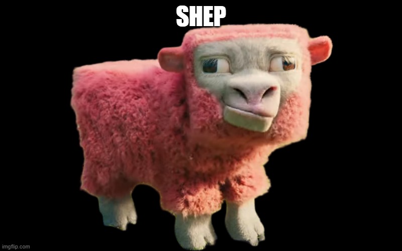 sheep | SHEP | image tagged in sheep | made w/ Imgflip meme maker