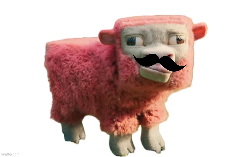 sheep | image tagged in sheep | made w/ Imgflip meme maker