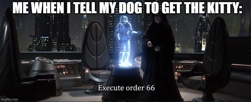 Star wars meme | ME WHEN I TELL MY DOG TO GET THE KITTY: | image tagged in execute order 66 | made w/ Imgflip meme maker