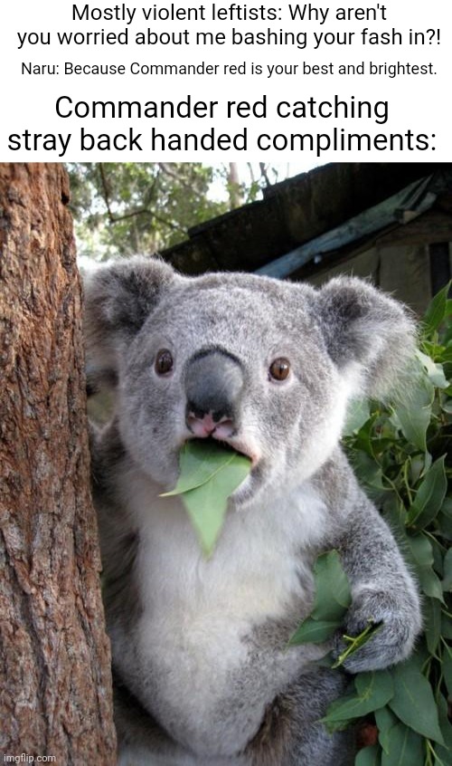 Image tagged in blank white template,memes,surprised koala